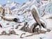 fond d'ecran (wallpaper) bandes dessines