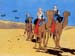 fond d'ecran (wallpaper) bandes dessines