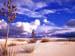 fond d'ecran (wallpaper) paysage