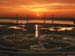 fond d'ecran (wallpaper) nature