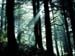 fond d'ecran (wallpaper) paysage