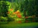 fond d'ecran (wallpaper) nature