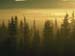 fond d'ecran (wallpaper) nature