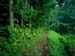fond d'ecran (wallpaper) paysage