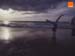 fond d'ecran (wallpaper) publicite