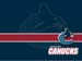 fond d'ecran (wallpaper) sports